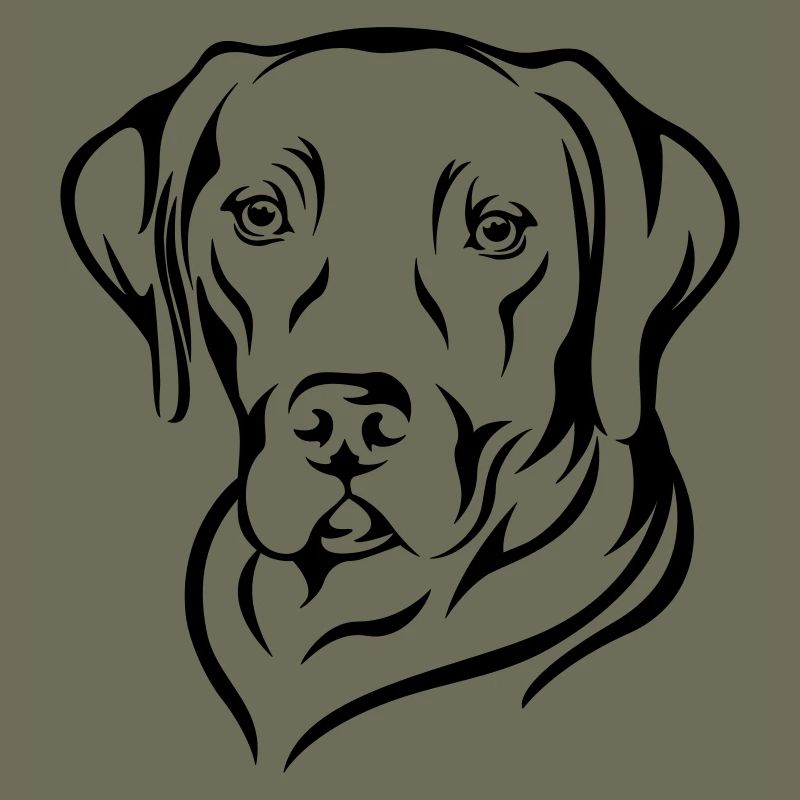 Labrador 2