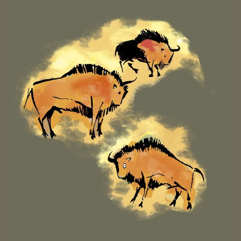 Bison