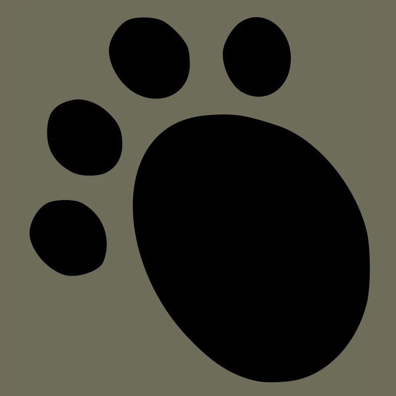 kizombear back