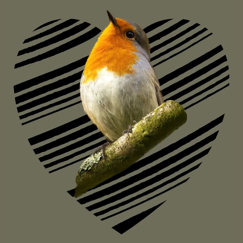 Robin Erithacus rubecula