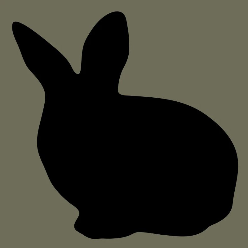 lapin