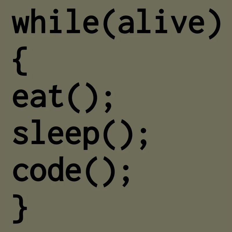 Developer Entwickler Développeur Computer Geek