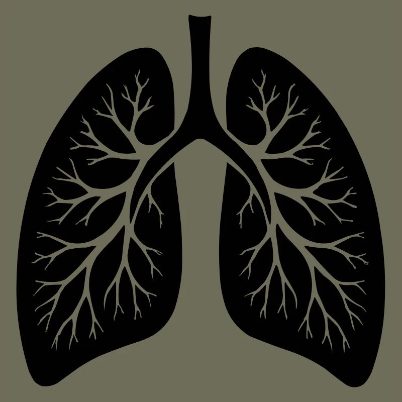 lung