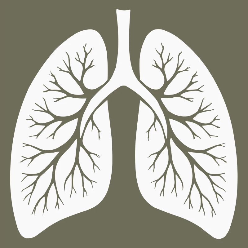 lung