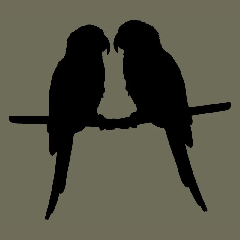 Perroquets quelques oiseaux