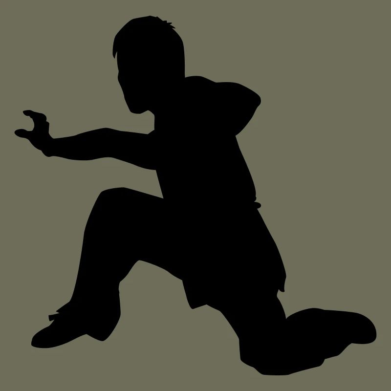 kung fu