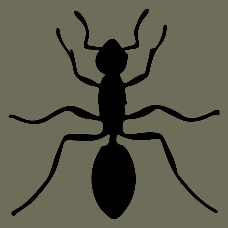 ant