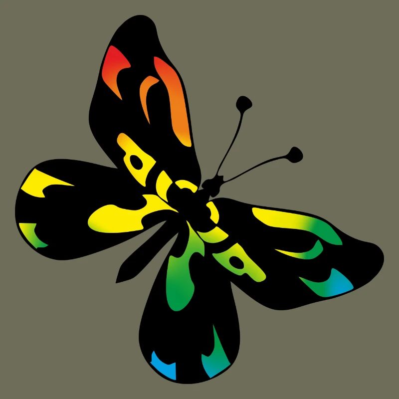 Papillon