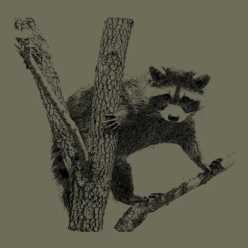 waschbär