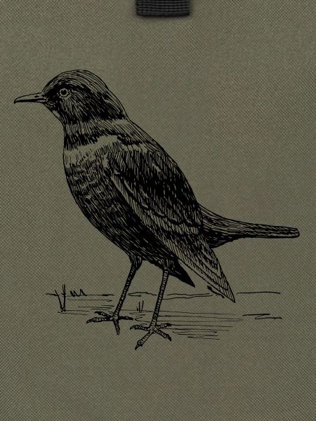 Amsel