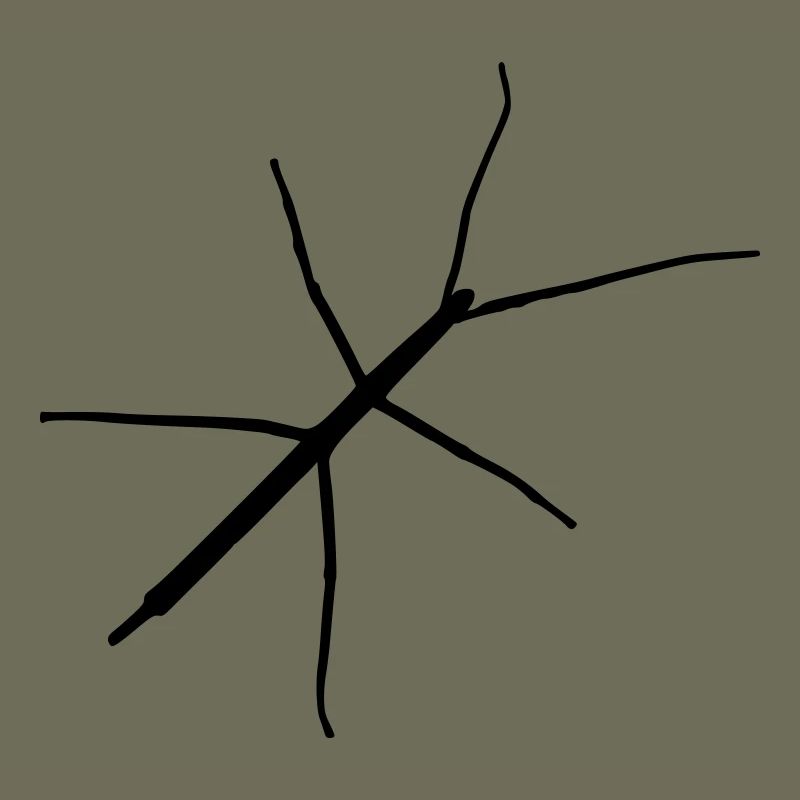 Stabheuschrecke
