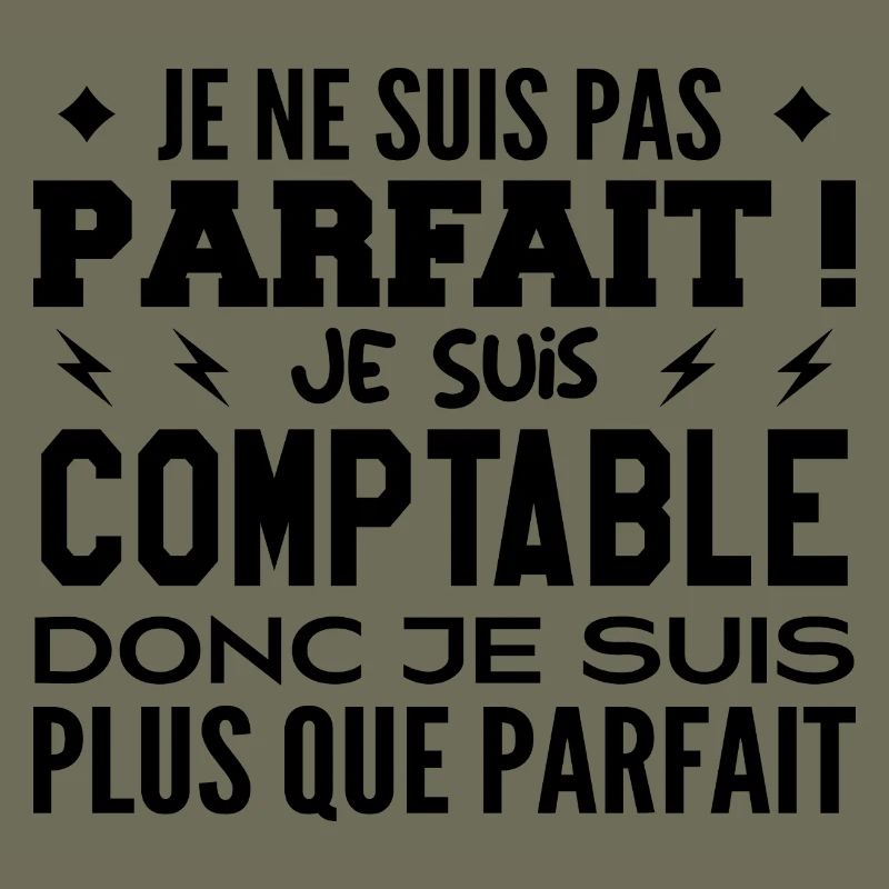 Un Comptable plus que parfaite, métier de rêve