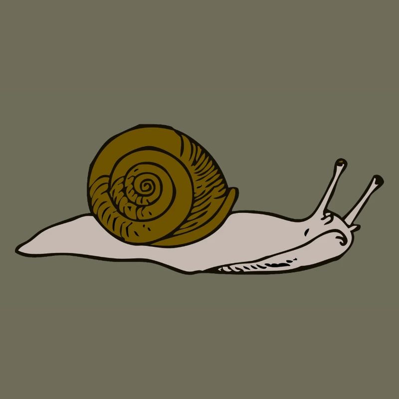 Brown snail