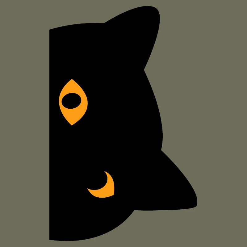 Chat noir