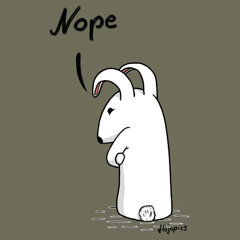 Lapin « Nope »