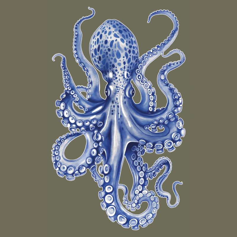 Oktopus