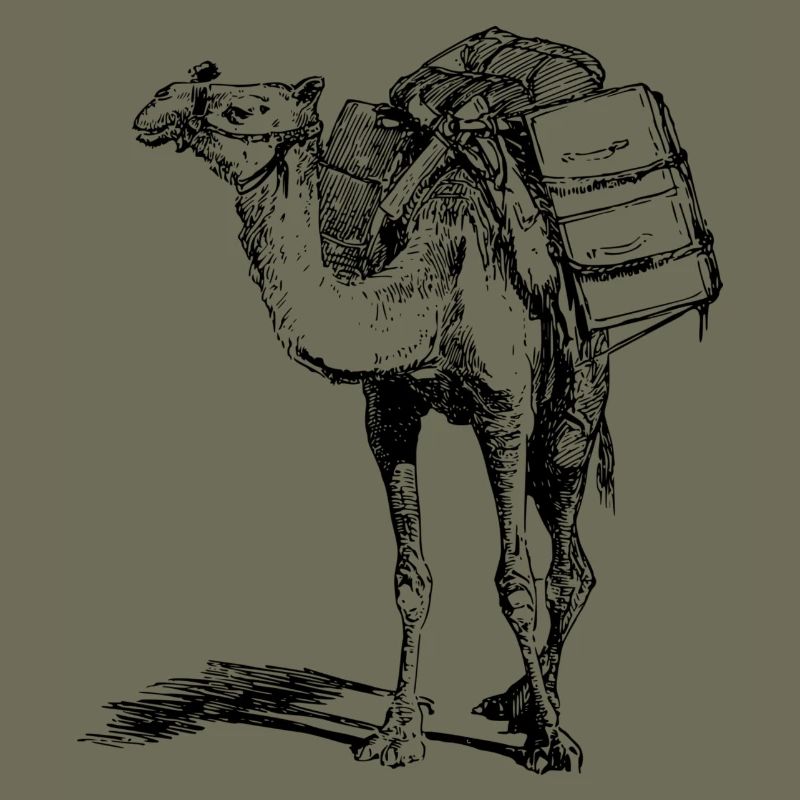 Kamel