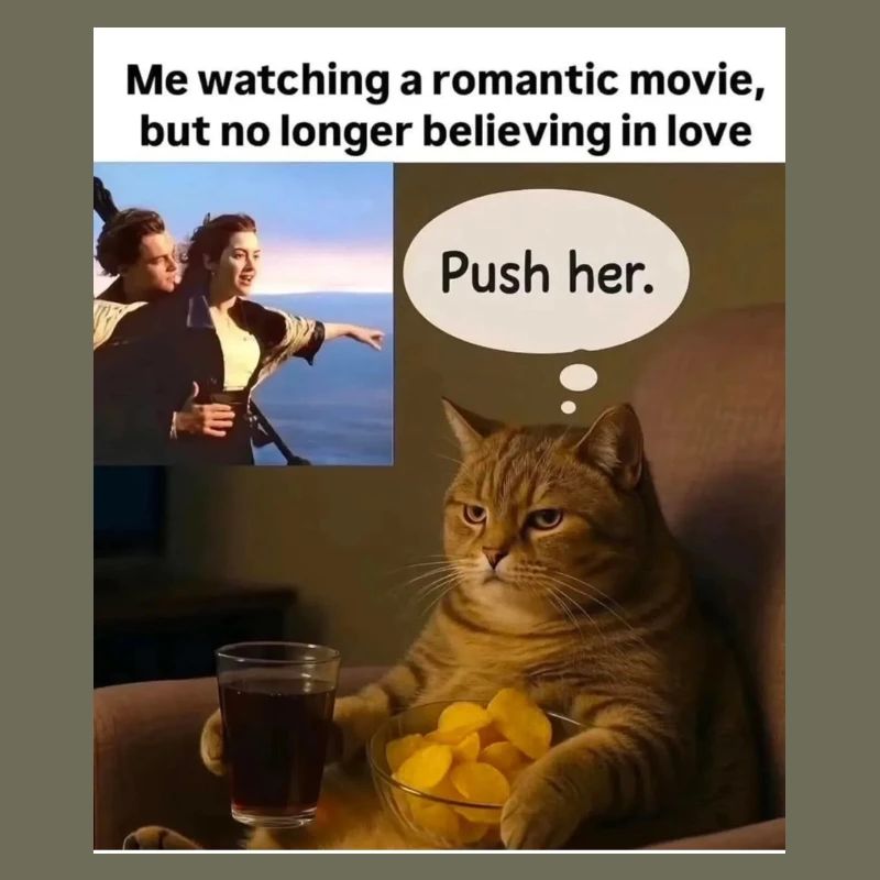 Cat Meme Push Romance