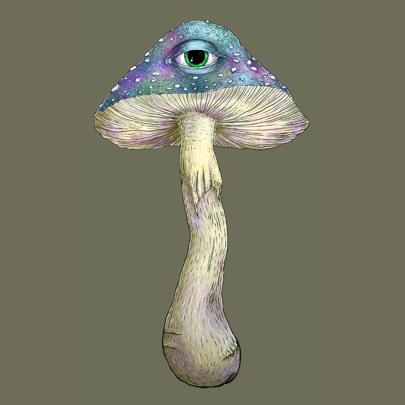 Einäugiger Regenbogenpilz