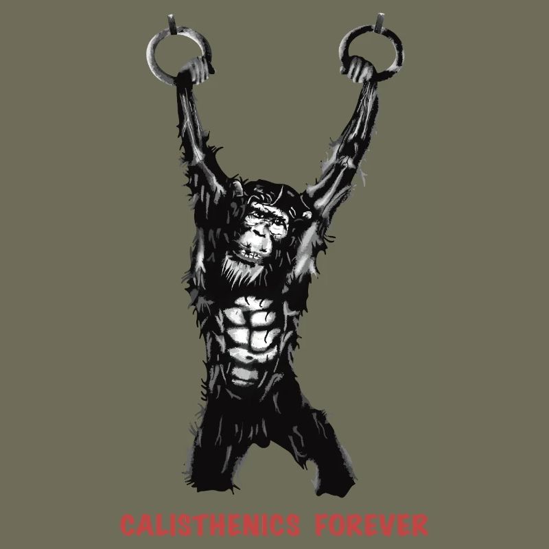 Calisthenics Evolution - Gymnastikringe