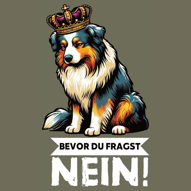 Before you ask: Australian Shepherd Aussie Aussie