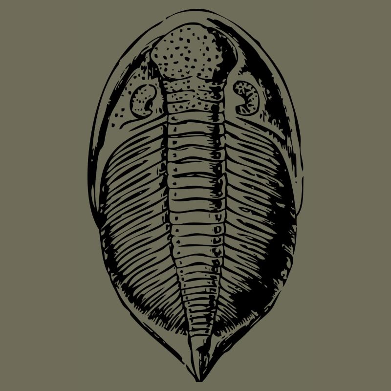 Fossil