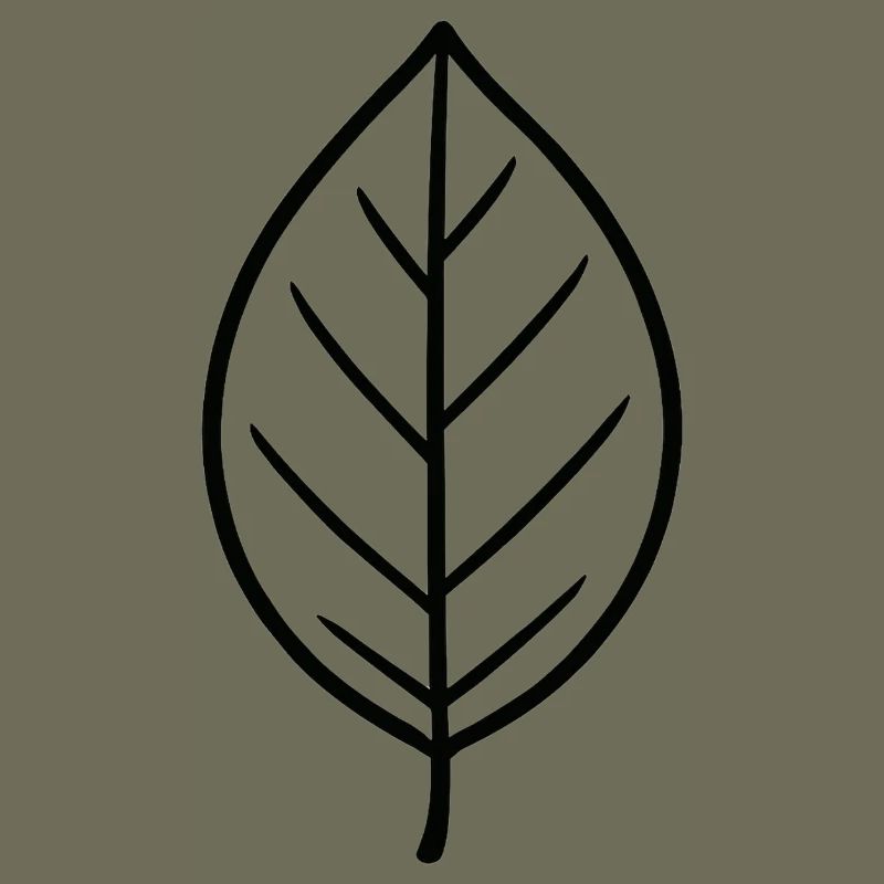 Conception minimaliste Leaf