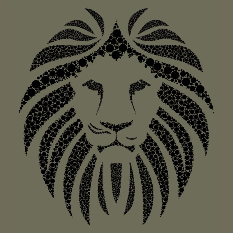 Lion black beautiful