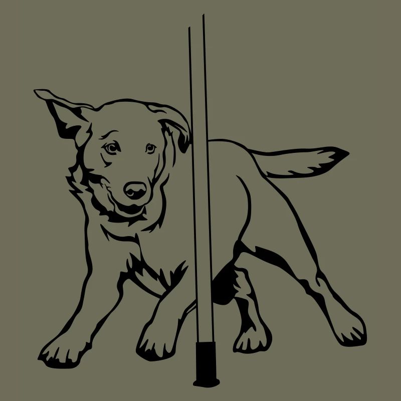 Labrador