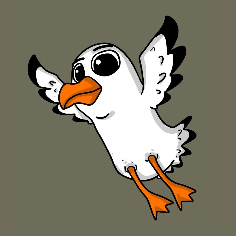 Seagull Bird