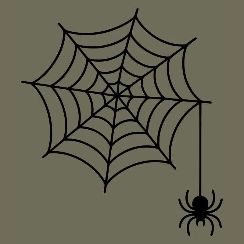 Toile d’araignée avec silhouette d’araignée