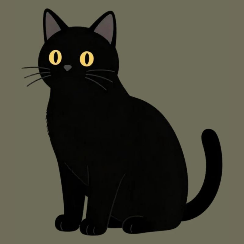 Chat noir chat noir