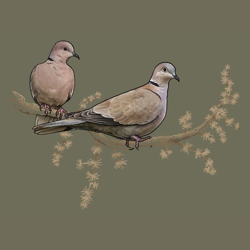 Two pigeons