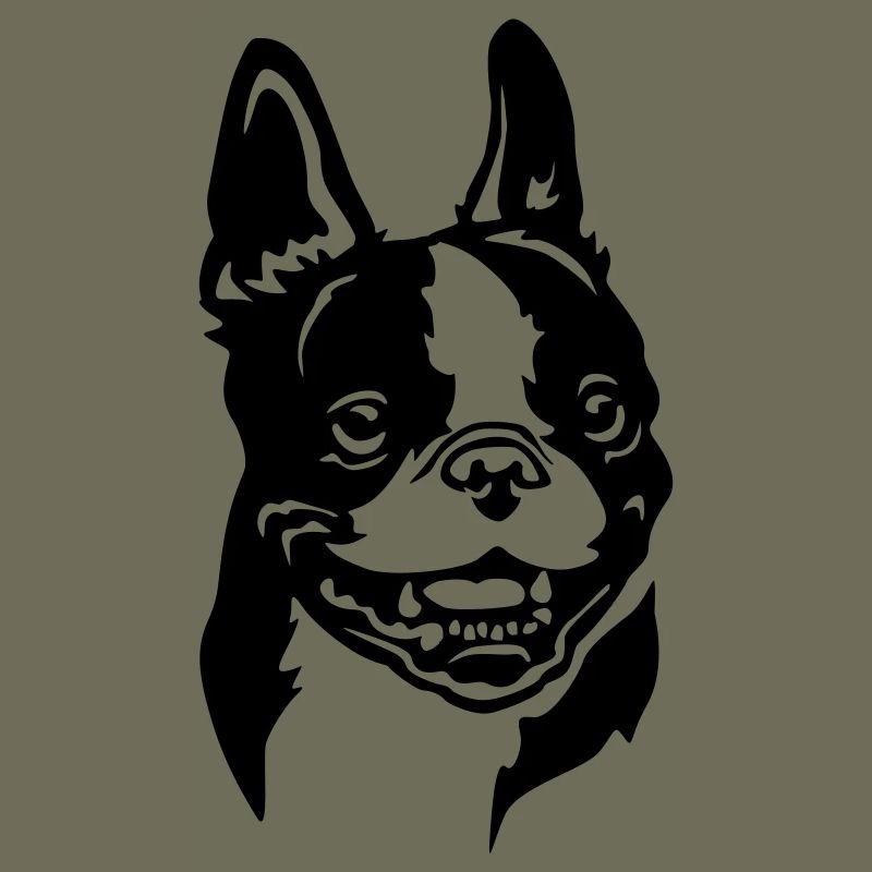 Boston Terrier Kopf