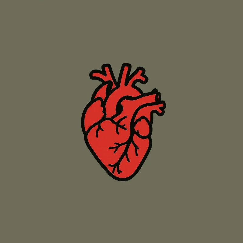 cuore_anatomico