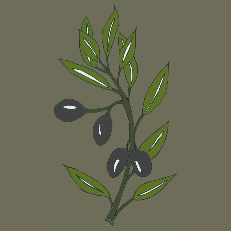olive branch