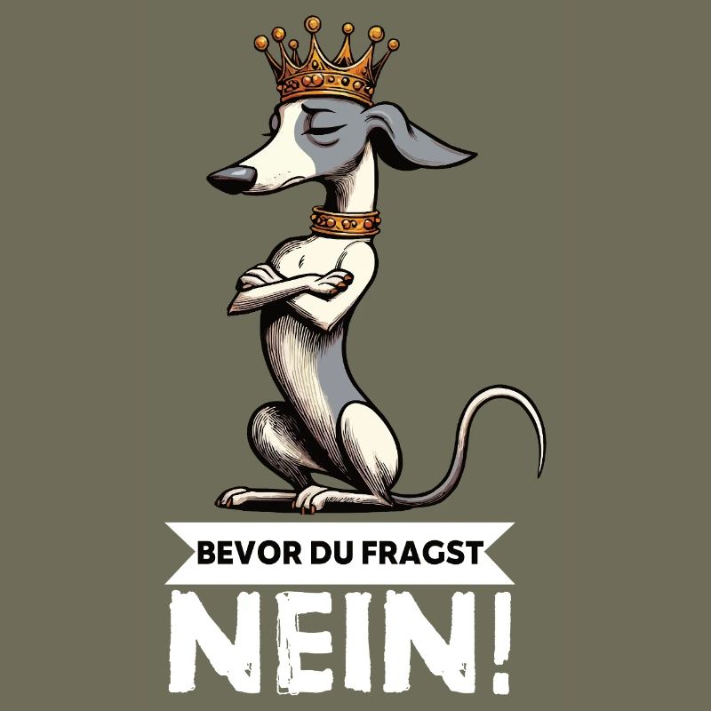 Before You Ask Whippet Greyhound Whippets