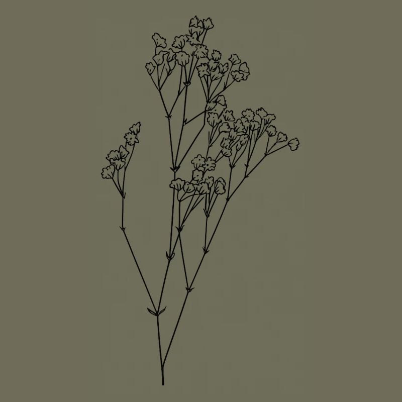 Delicate baby's breath