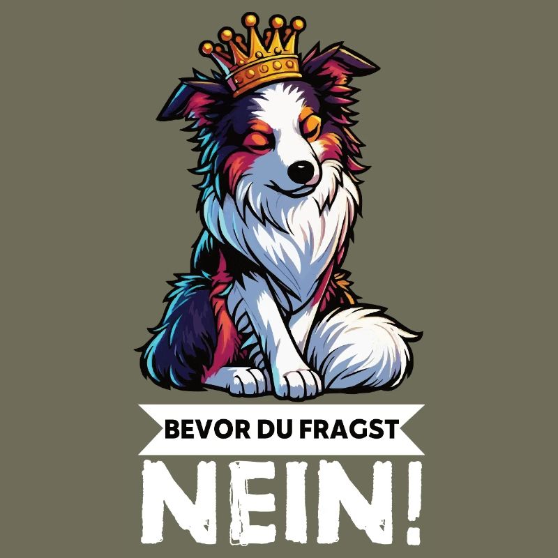 Before you ask: Australian Shepherd Aussie Aussie