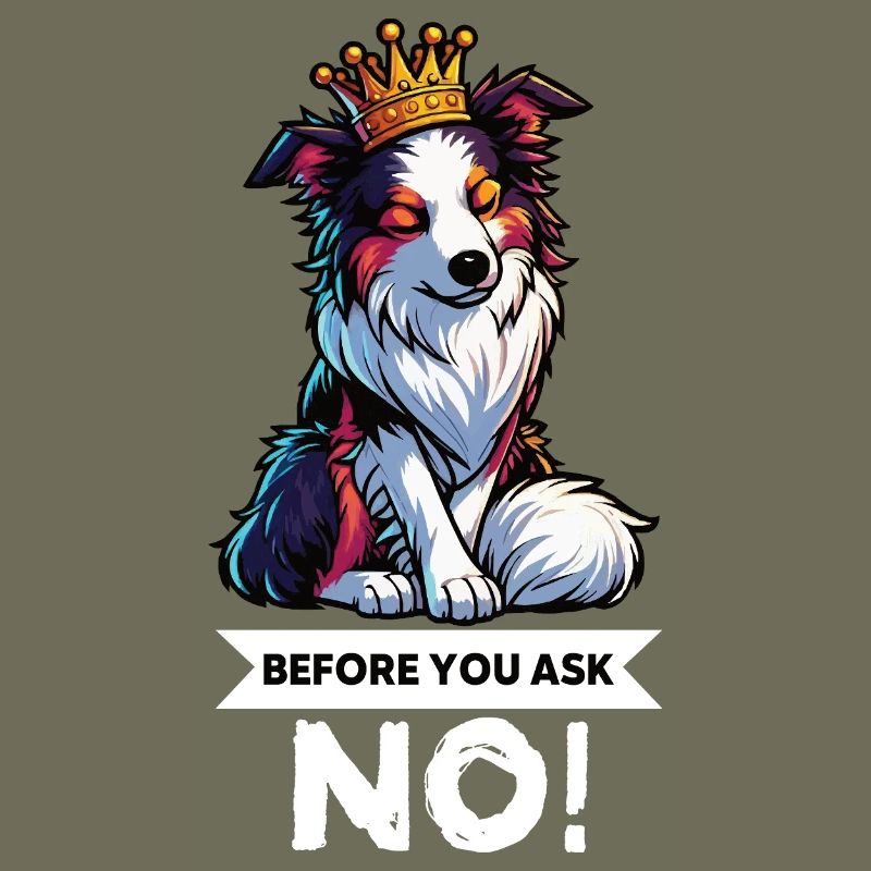 Before You Ask Australian Shepherd Aussie Aussies
