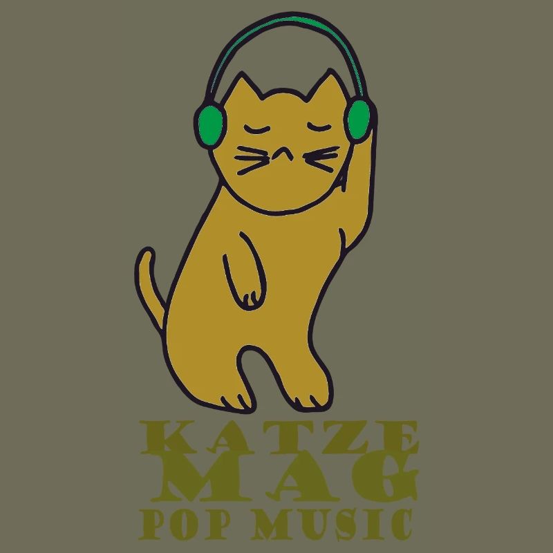 Cat likes pop music