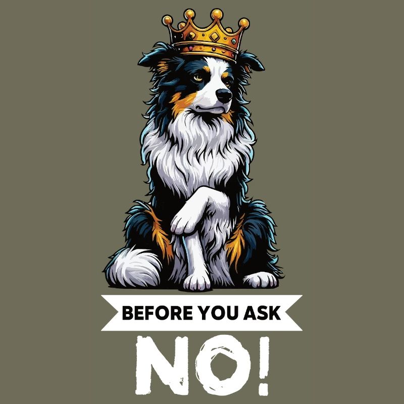 Avant de demander aux Australian Shepherds Aussie Aussies