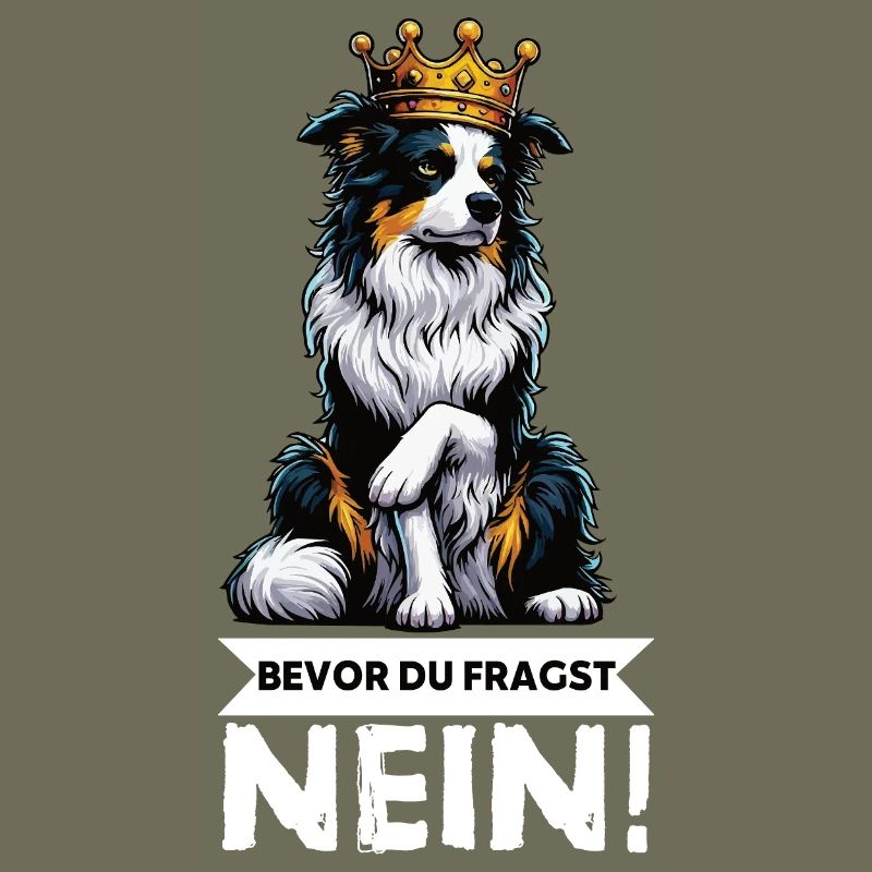 Before you ask: Australian Shepherd Aussie Aussie