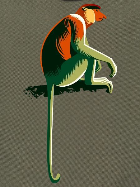 Nasenaffe