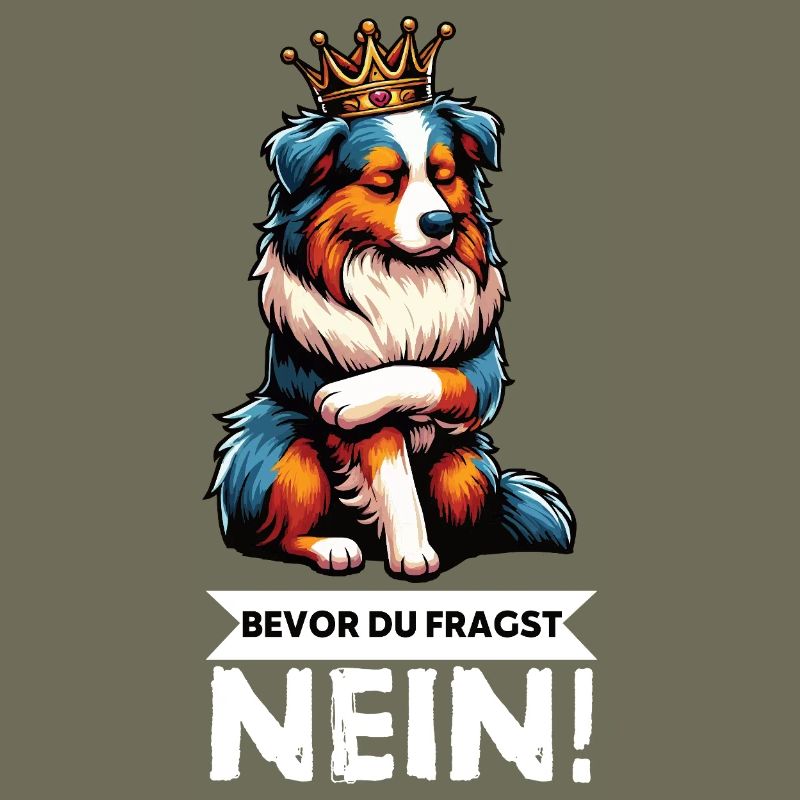 Before you ask: Australian Shepherd Aussie Aussie
