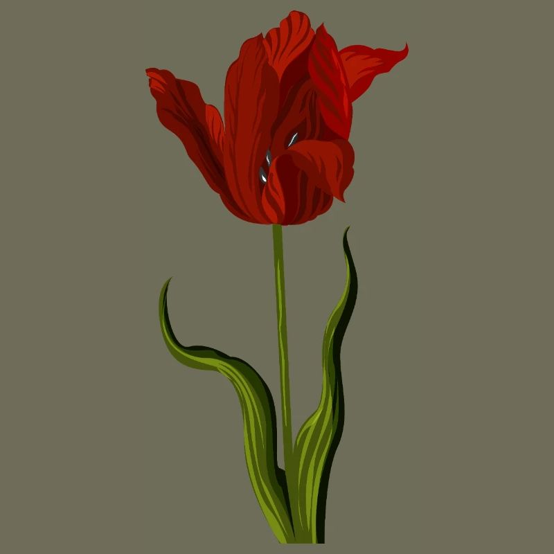 Red Tulip