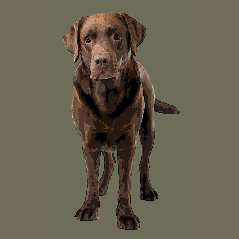 Brauner Labrador Comic Styl