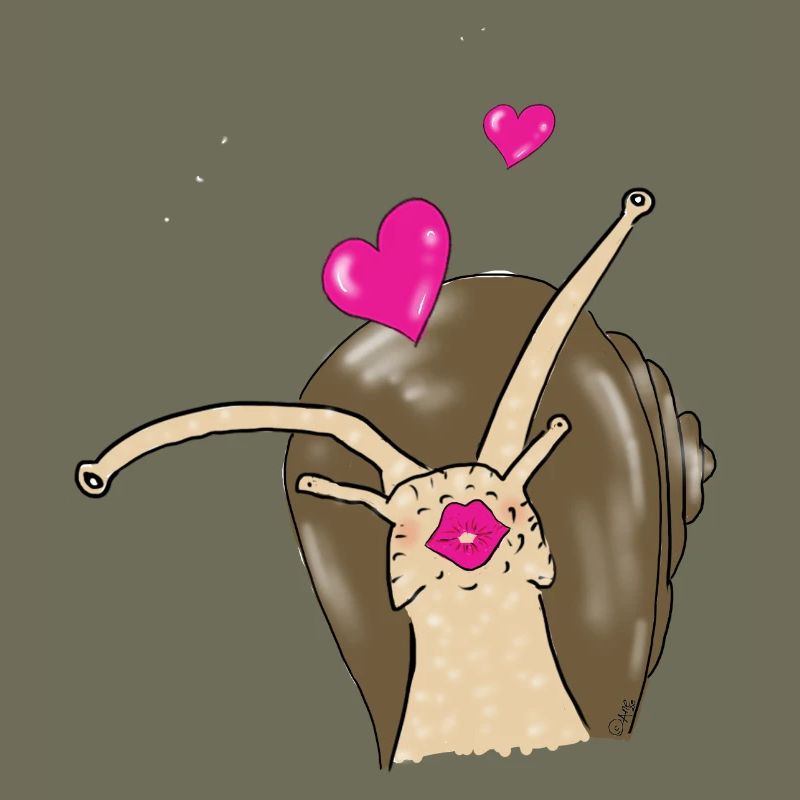 snail