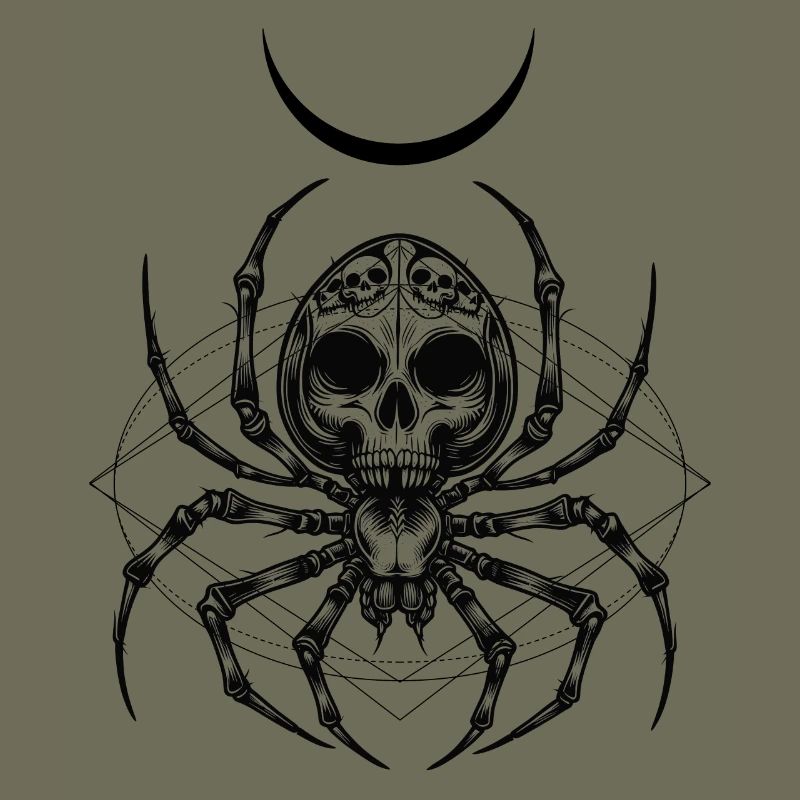 Deadly Bugs | Spider