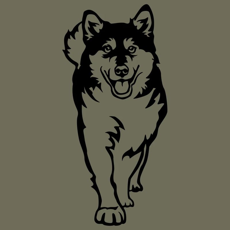 Alaskan Malamute